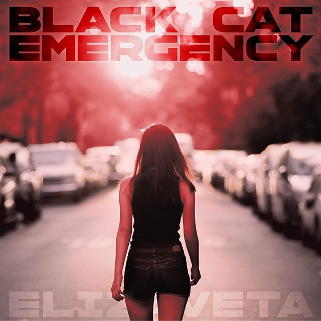 Black Cat Emergency