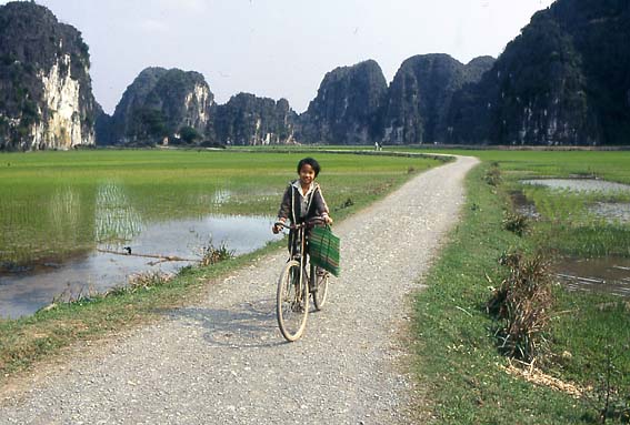 Road
