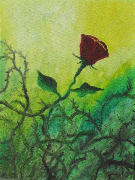 RoseThorns