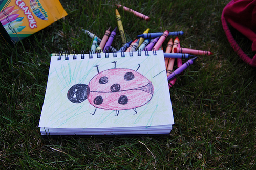 Ladybug