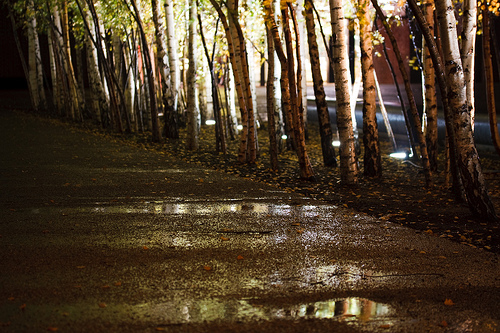 Moscow rain 8